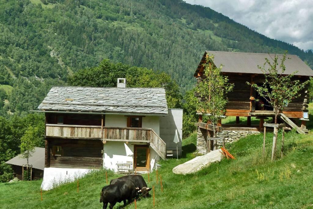 Appartement "Le Ver Luisant" A Saint-Martin, Val D'Herens, Valais Exterior photo